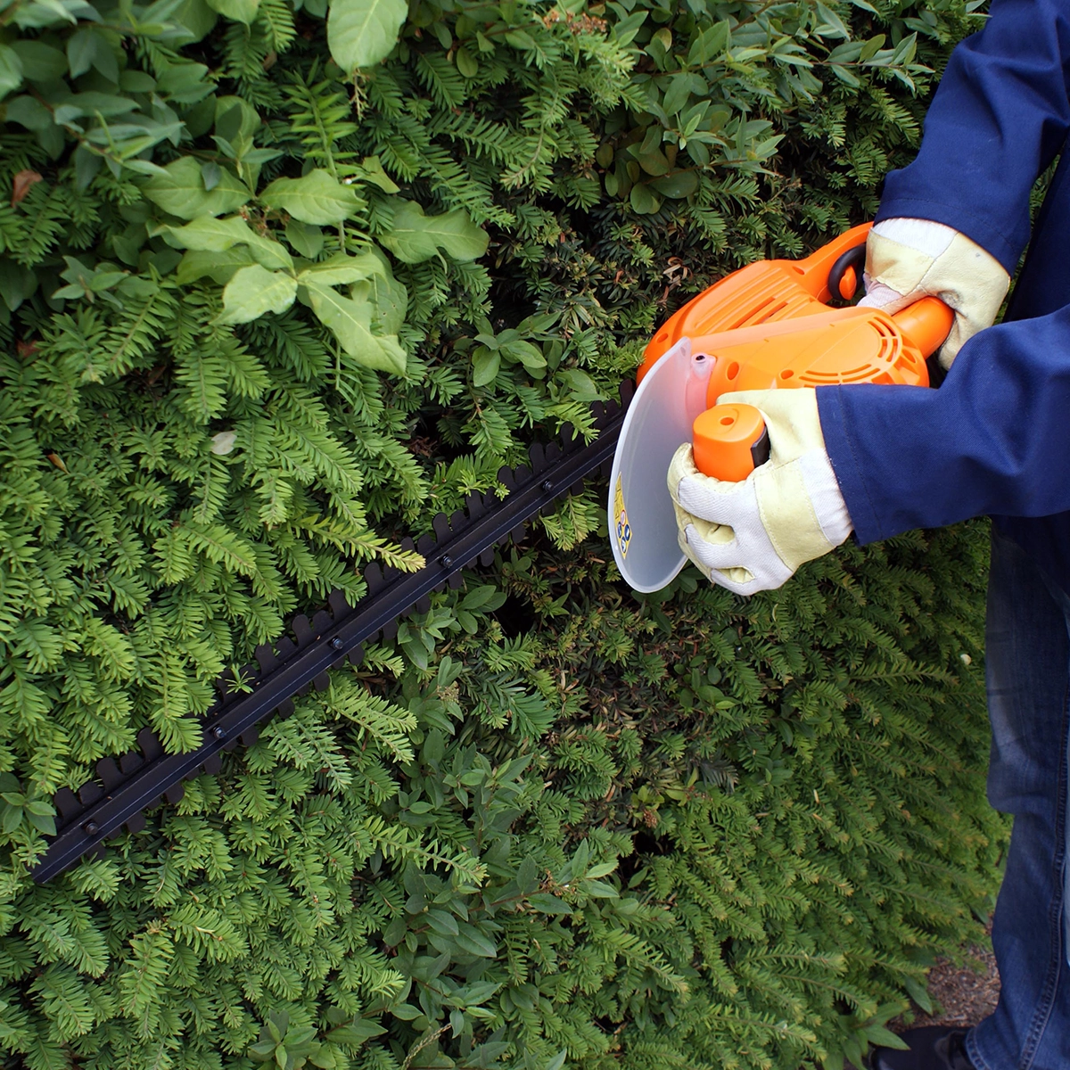 Tagliasiepe elettrico HA 500/51 - immagine 3