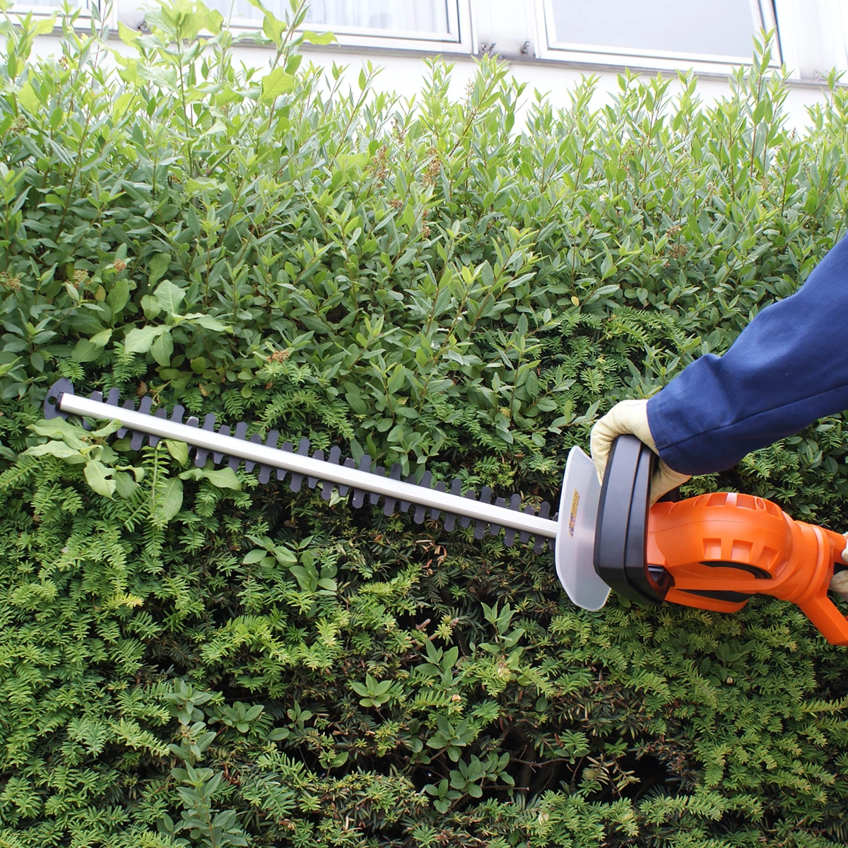 Tagliasiepe elettrico HA 710/61 - immagine 2