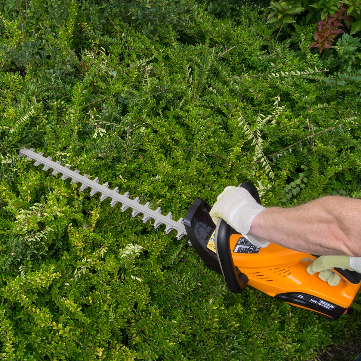 Tagliasiepi a batteria HSC 40-600 - immagine 2